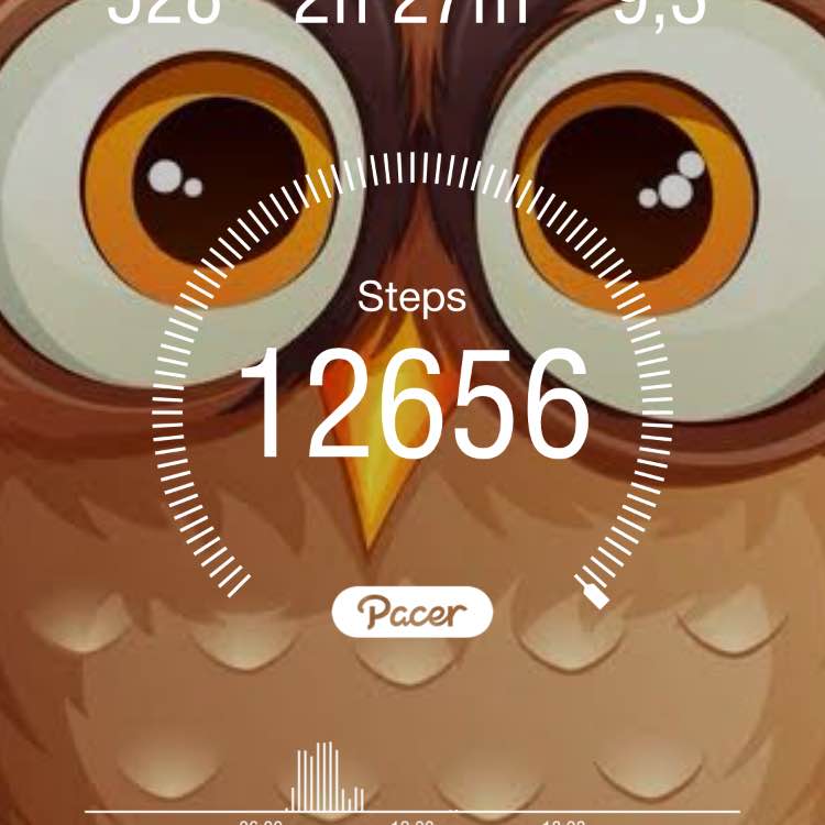 Rose,🍀🌹 🌹🌹🌹🌹🌹🌹 🌹 💁‍♀️ 🔥🌎SOTIRAQ☀️🔥 post image