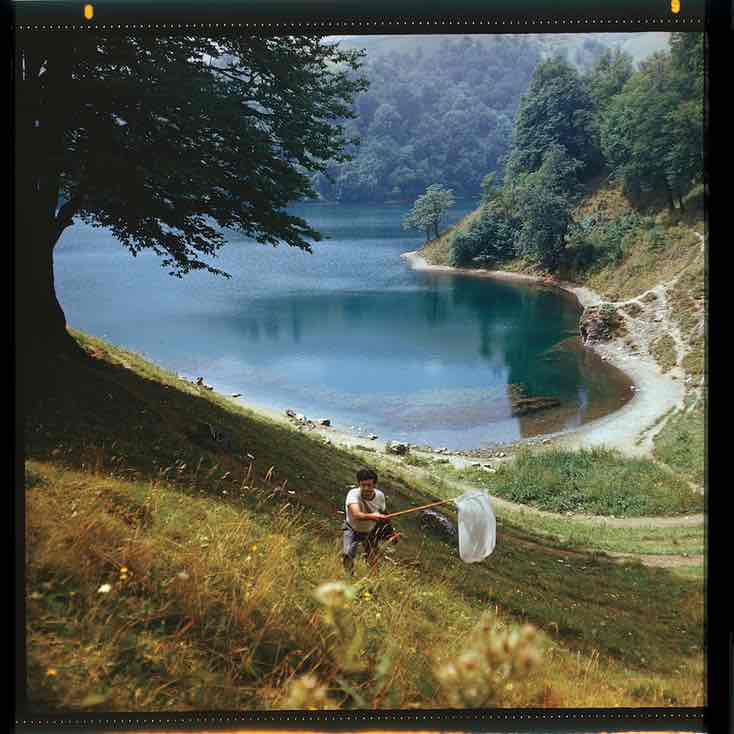 Rose,🍀🌹 🌹🌹🌹🌹🌹🌹 🌹 💁‍♀️ 🔥🌎SOTIRAQ☀️🔥 post image