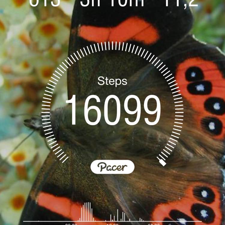 Shelly 🩷🩵Sotiraq🔥💙 post image