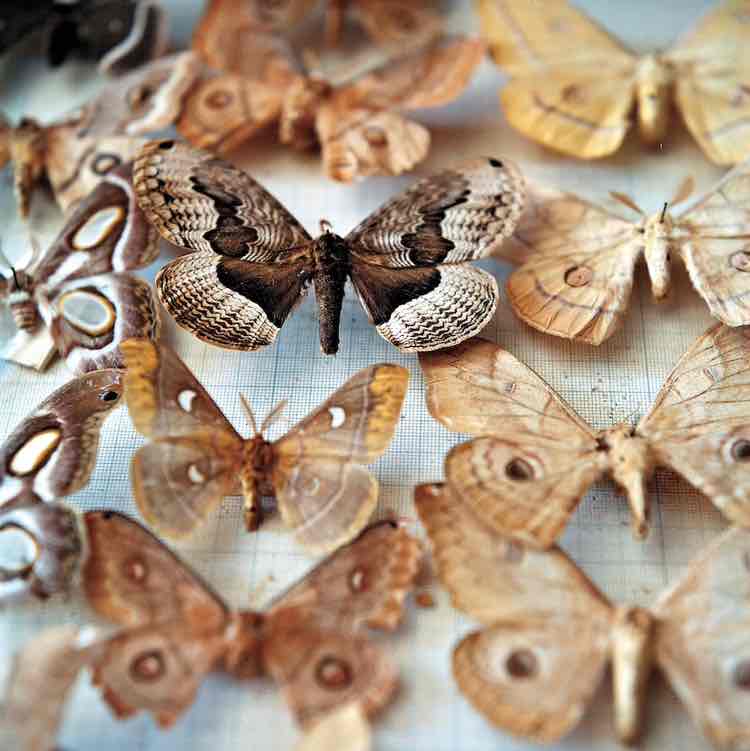 ИДИХОДИ ВЕСЬ МИР 🩷🩵Sotiraq🔥💙 post image