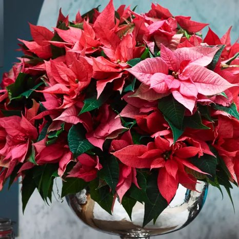 Аюнамарафон 🩷🩵Sotiraq✝️✝️ post image