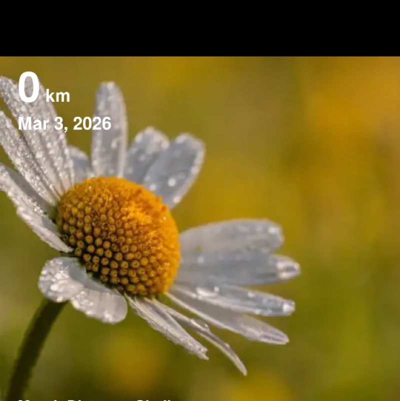 Pacer Family Club  🩷🩵Sotiraq🔥💙 post image