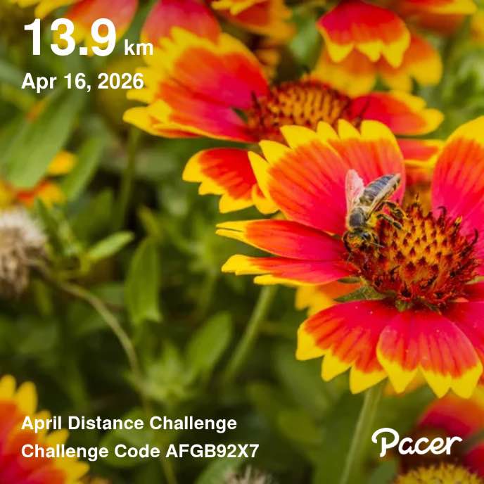 🌍🌎🌏Planet🌍🌎🌏Friends🌍🌎🌏 🍃♥️SOTIRAQ🤗🌟⚜️ post image