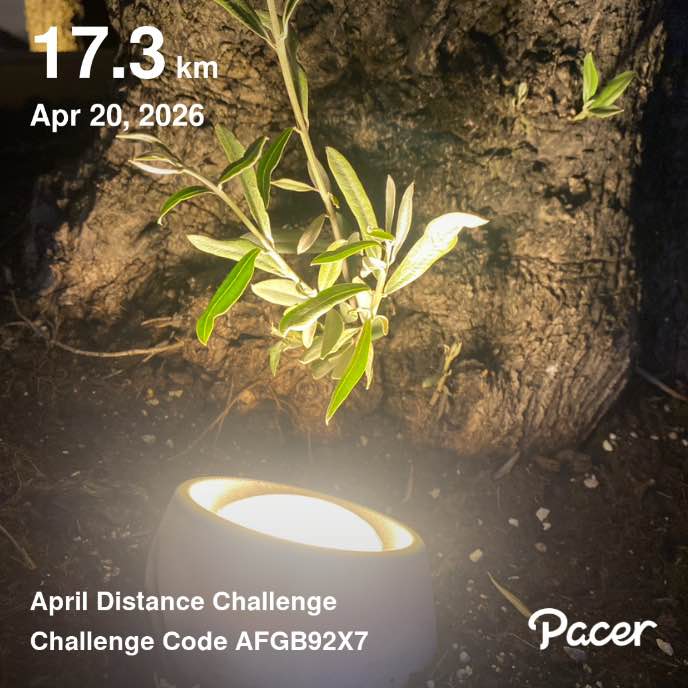 Pacer Family Club  🍃♥️SOTIRAQ🤗🌟⚜️ post image