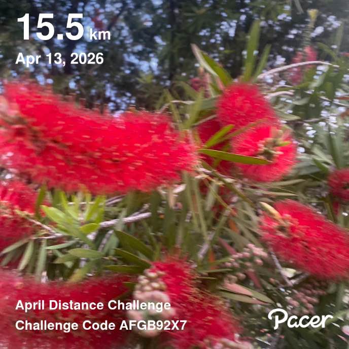 = ОТКРЫТАЯ КНИГА = 📖📚 💒✝️💙SOTIRAQ♥️🩵 post image