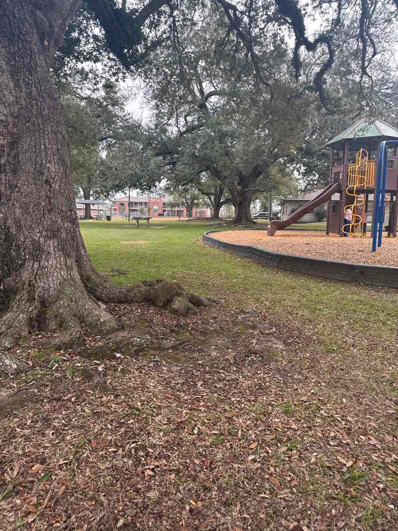 walking near me in Drew Park in winter