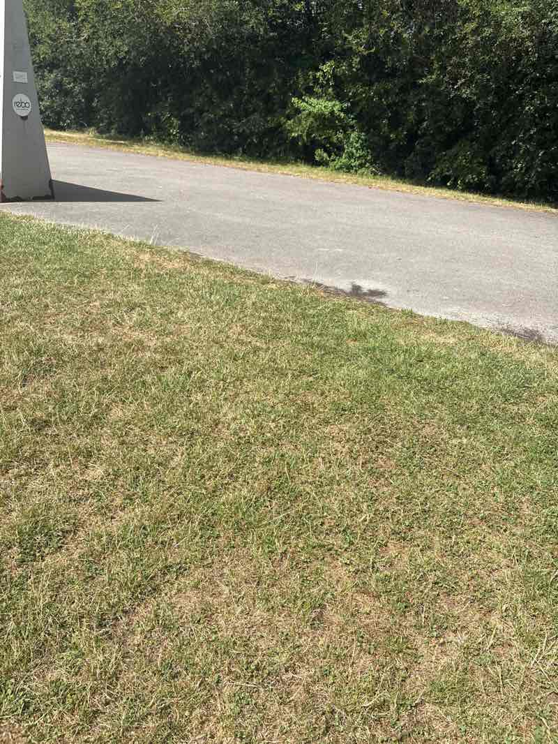 walking near me in Hangar Farm Park in autumn