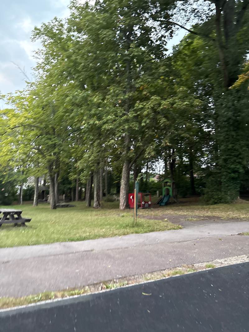 walking near me in Ashurst Recreation Ground in autumn