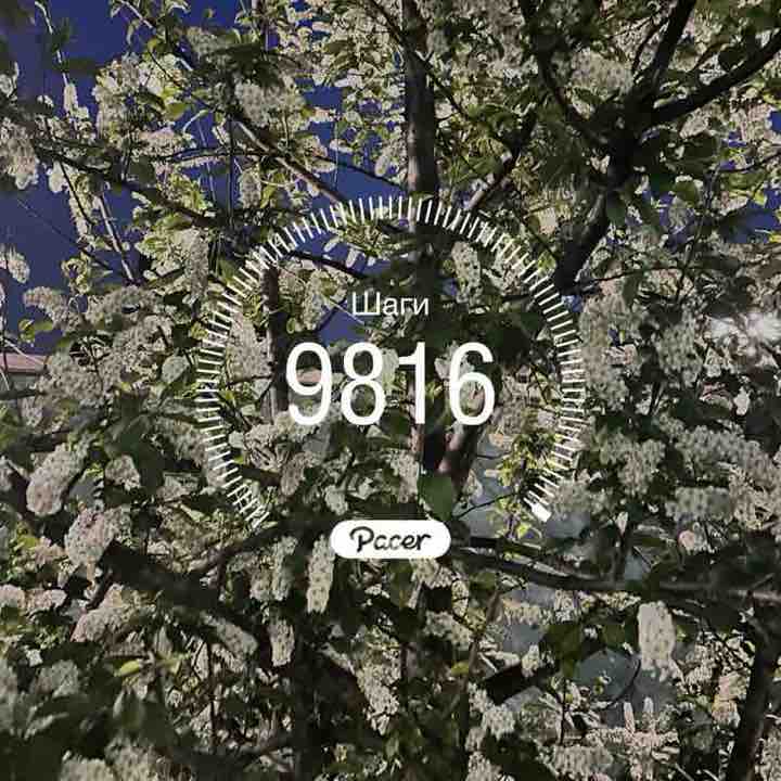 Чулпан post 1