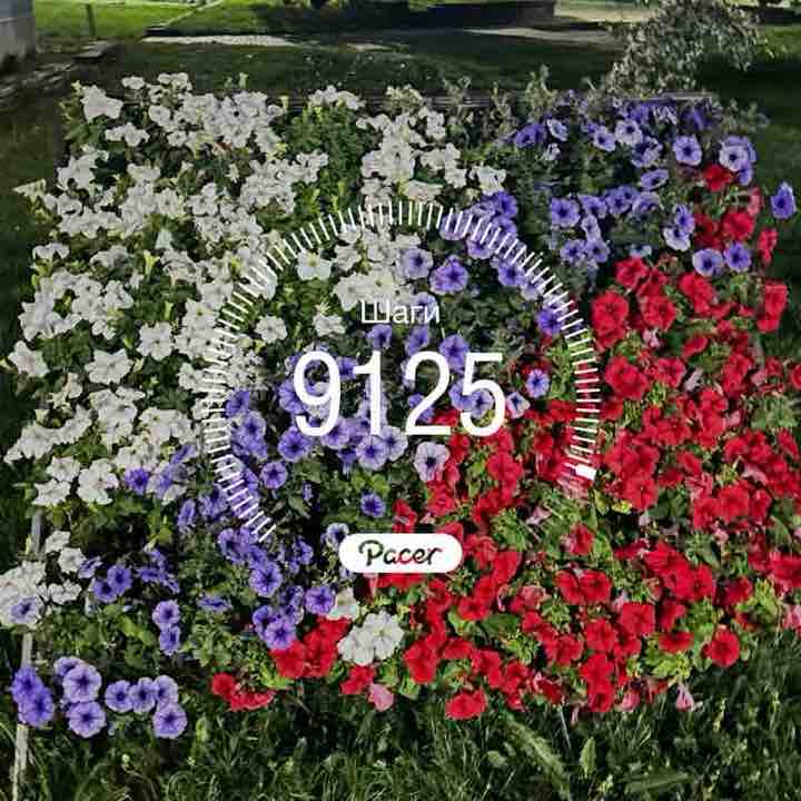 Чулпан post 1