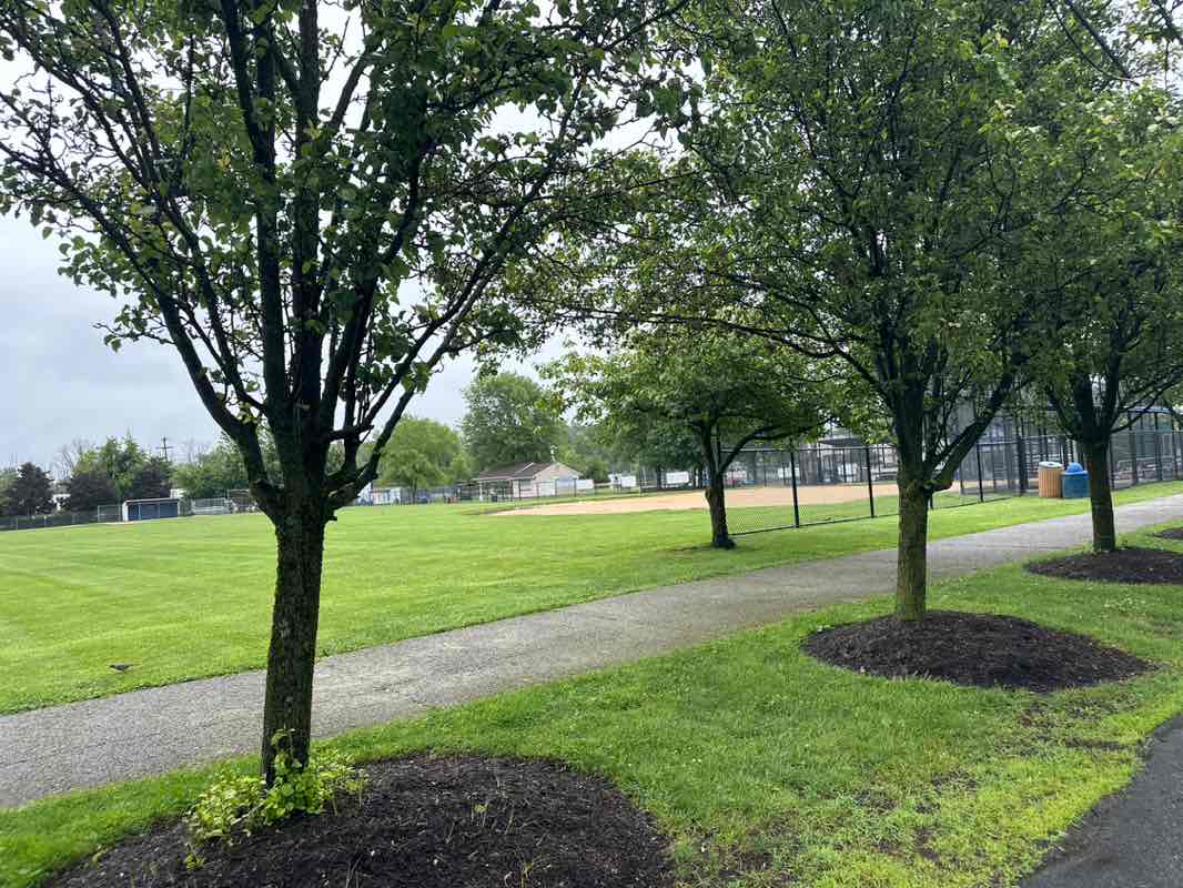 walking near me in John L. Hogan Memorial Park in summer