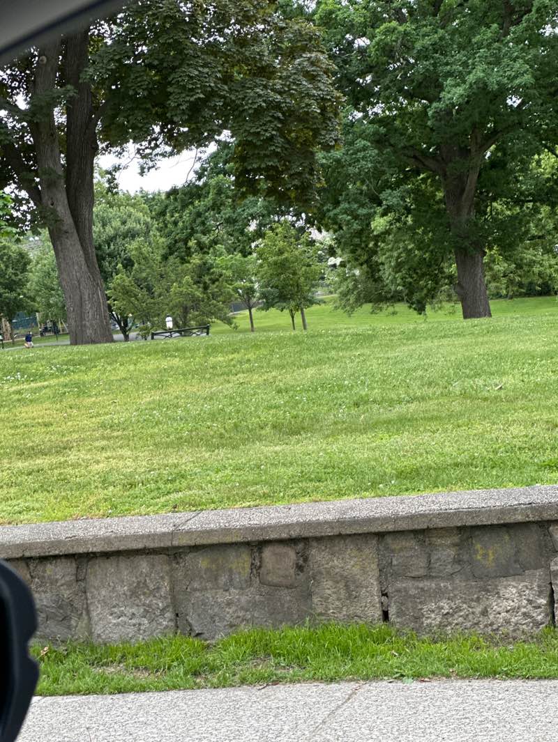 walking near me in Patriots Park in summer