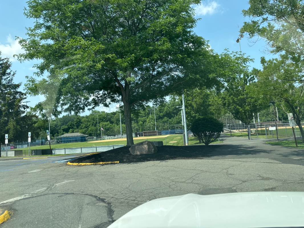 walking near me in Historical Society of Rockland County Grounds in summer