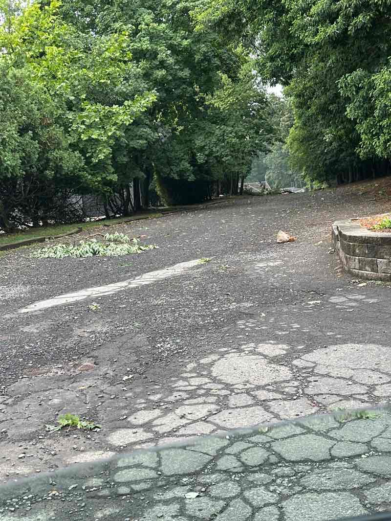walking near me in Veterans Memorial Park in summer