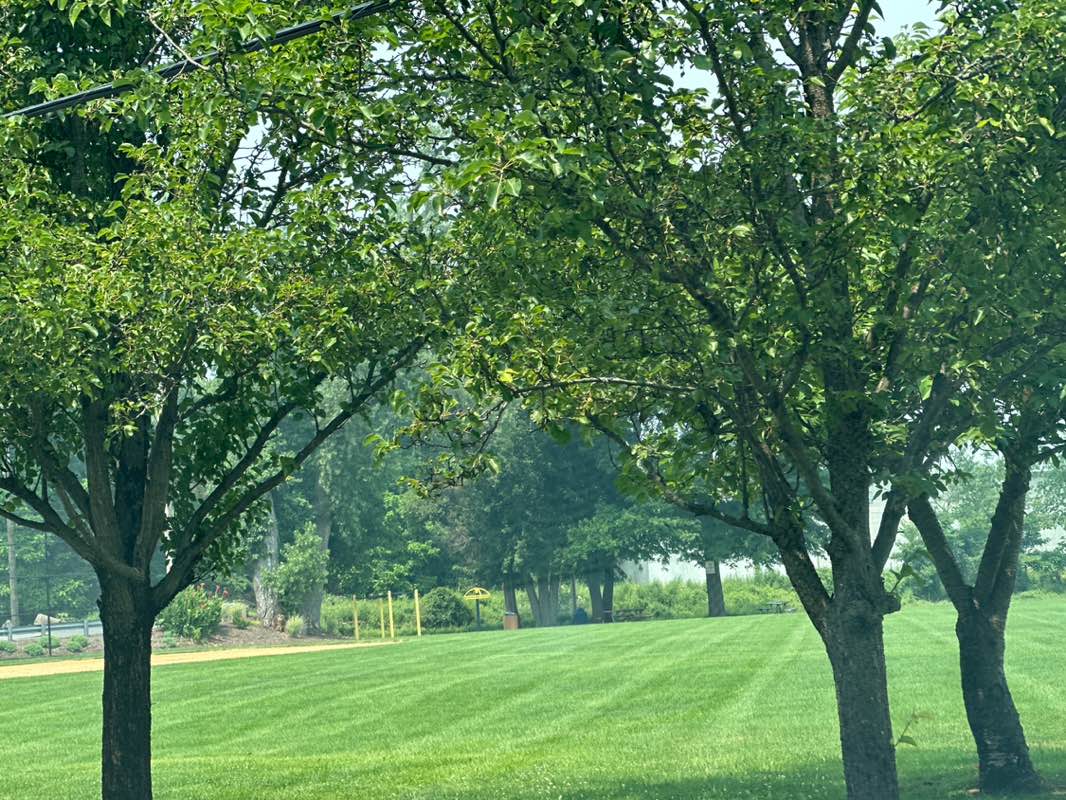 walking near me in John L. Hogan Memorial Park in summer