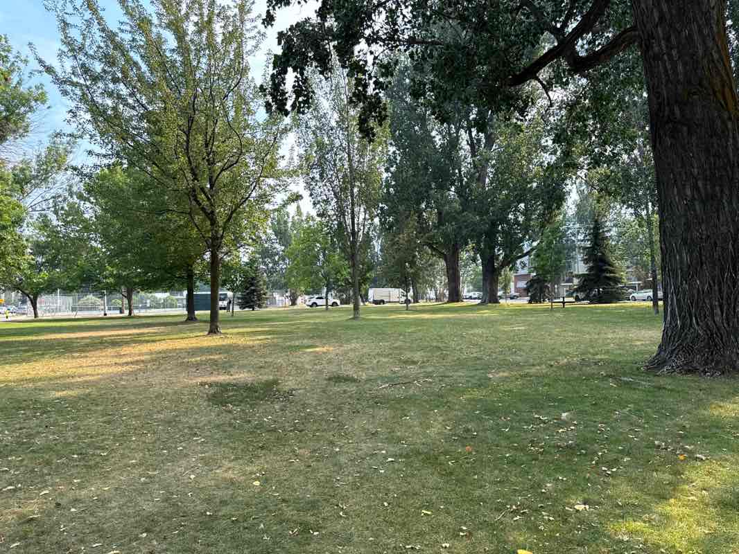 walking near me in Lakawanna Park in summer
