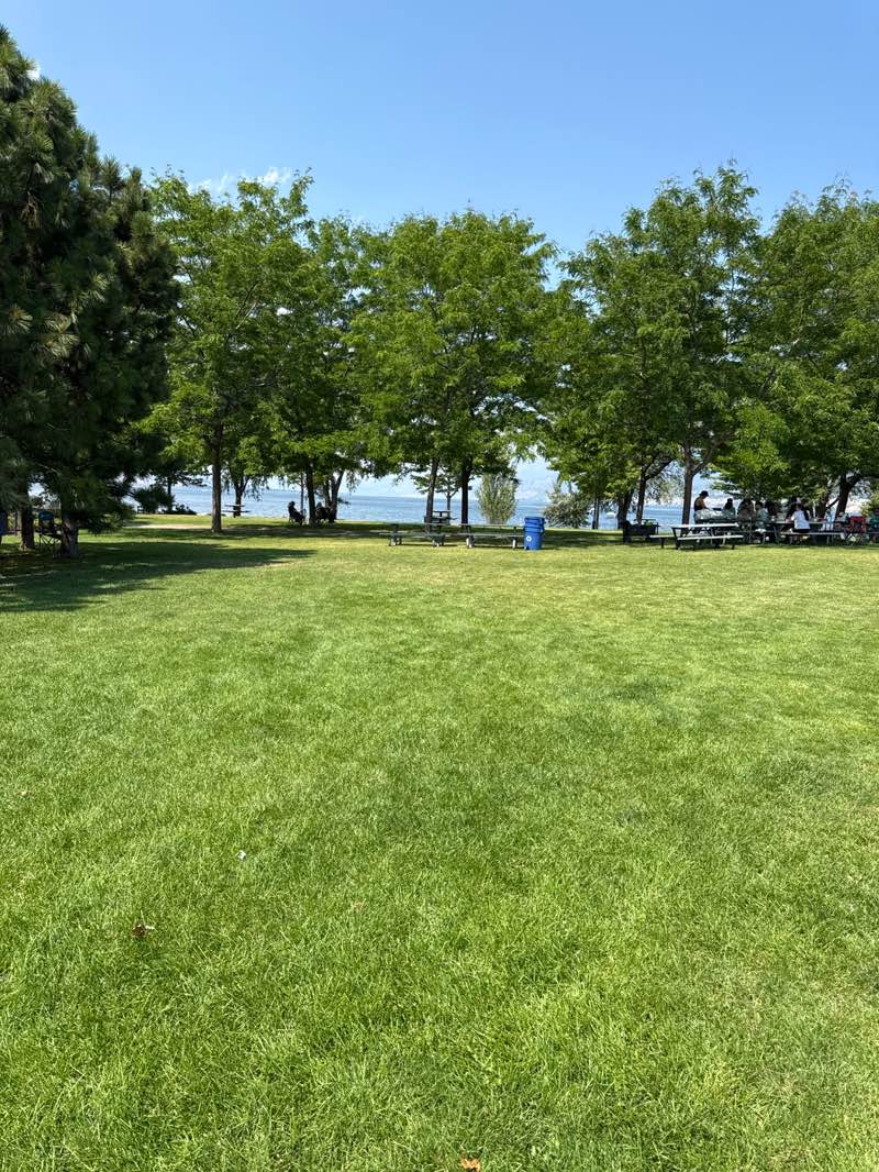 walking near me in Marina Way Park in summer