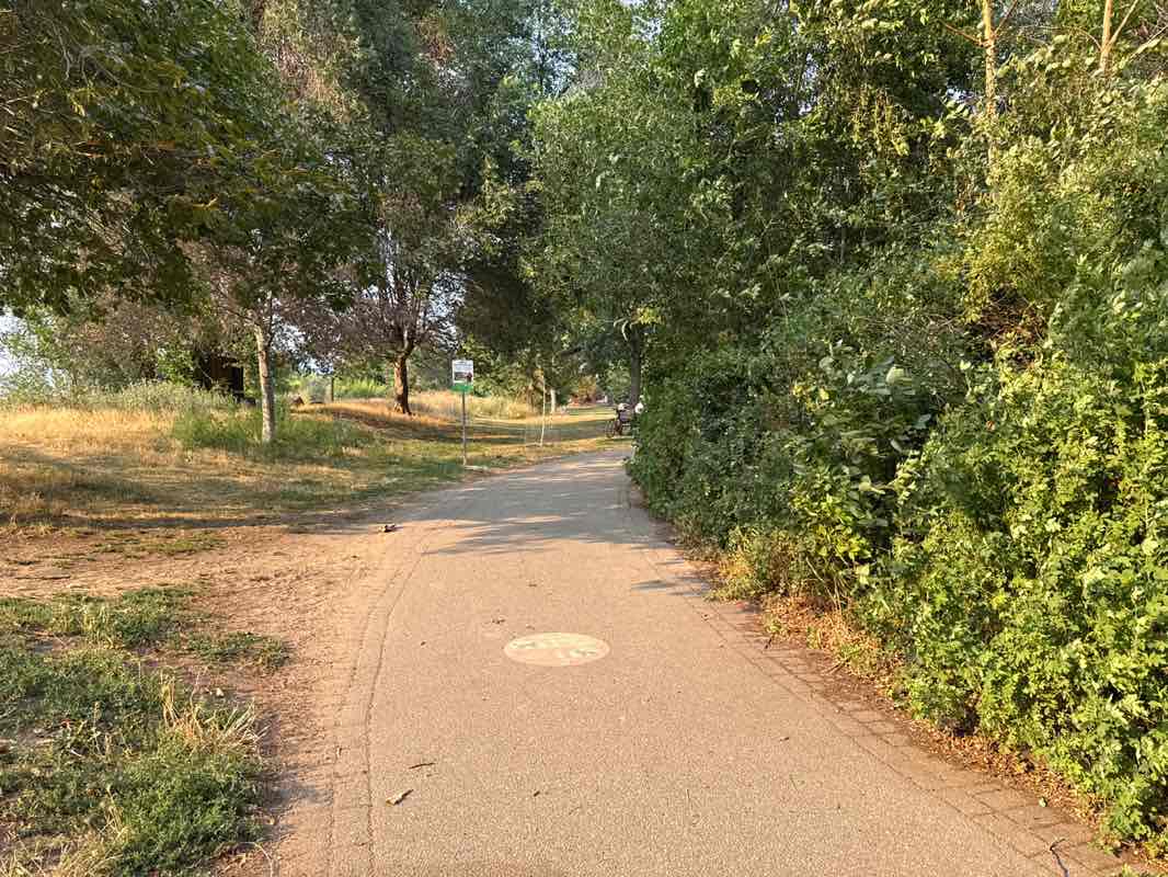 walking near me in Riverside Park in summer