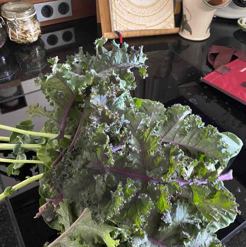 Lardarse Ladies Benitos post image