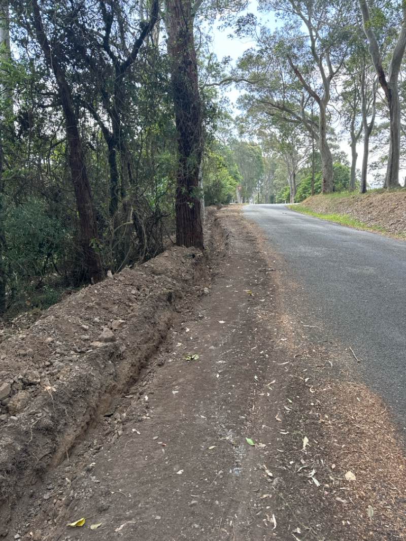 walking near me in Apex Park in summer