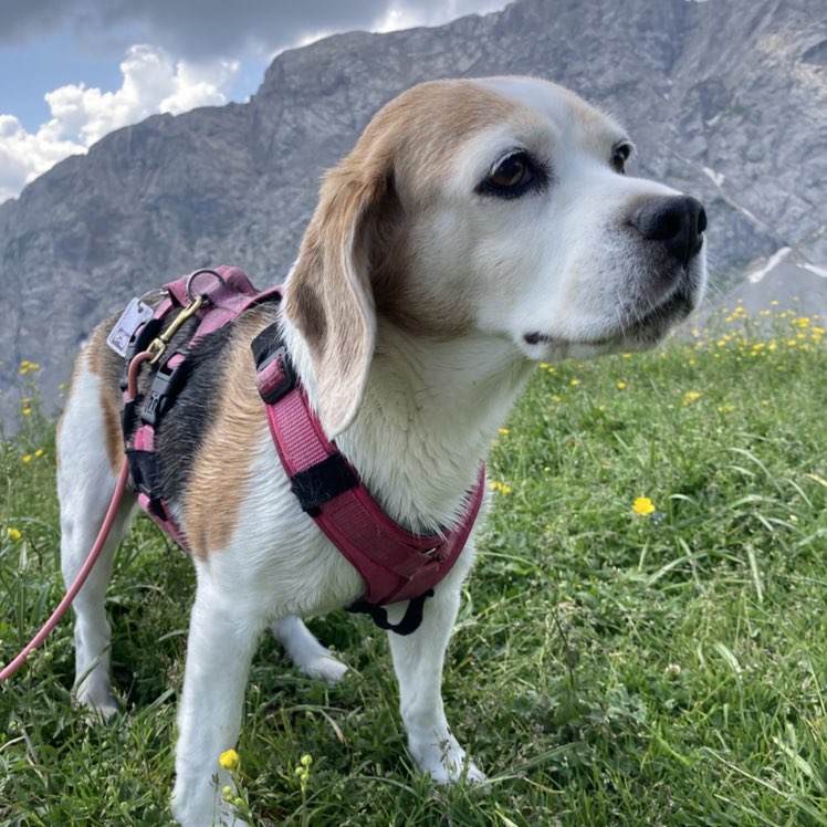 Tanja profile