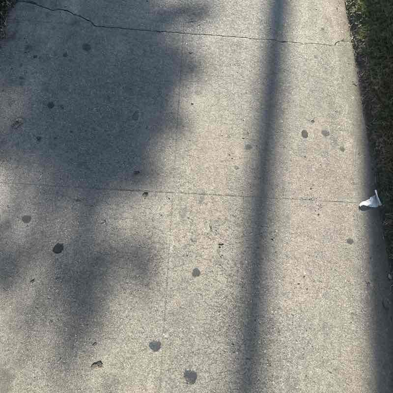 Hasani Harris post 1