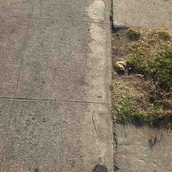 Hasani Harris post 1