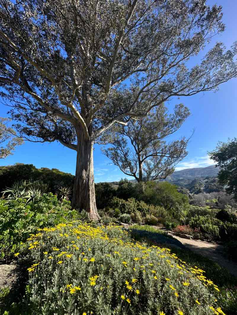 walking near me in Dunedin Botanic Garden in summer