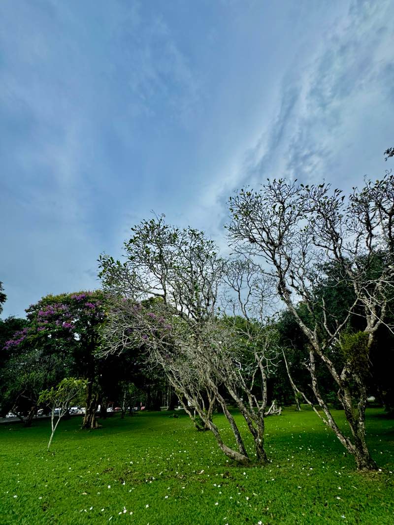 walking near me in Kinta Riverfront Walk in winter