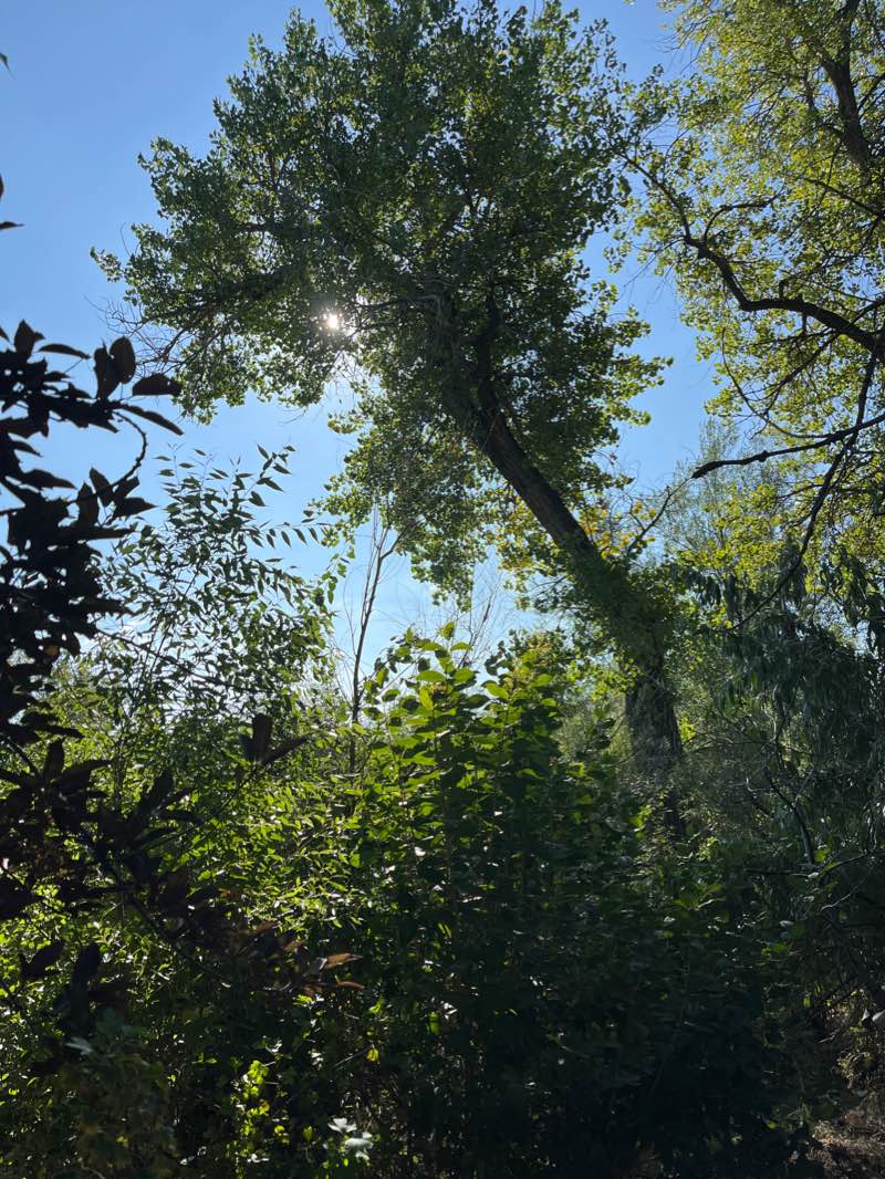 walking near me in Waneka Park in winter