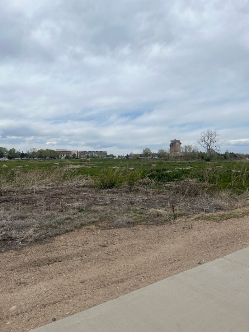 walking near me in Westfield Village Park in winter