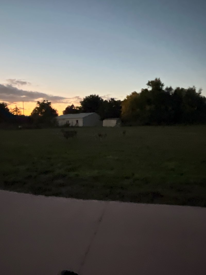 walking near me in Prospect Ponds Natural Area in autumn