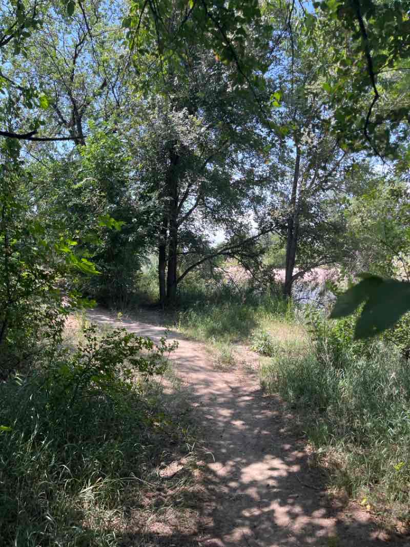 walking near me in Ken Mitchell Park in summer