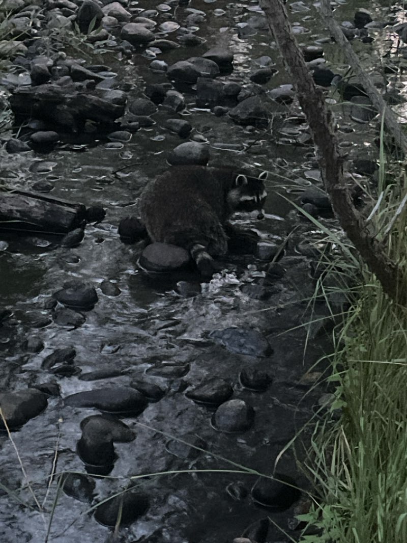 walking near me in Magpie Meander Natural Area in autumn