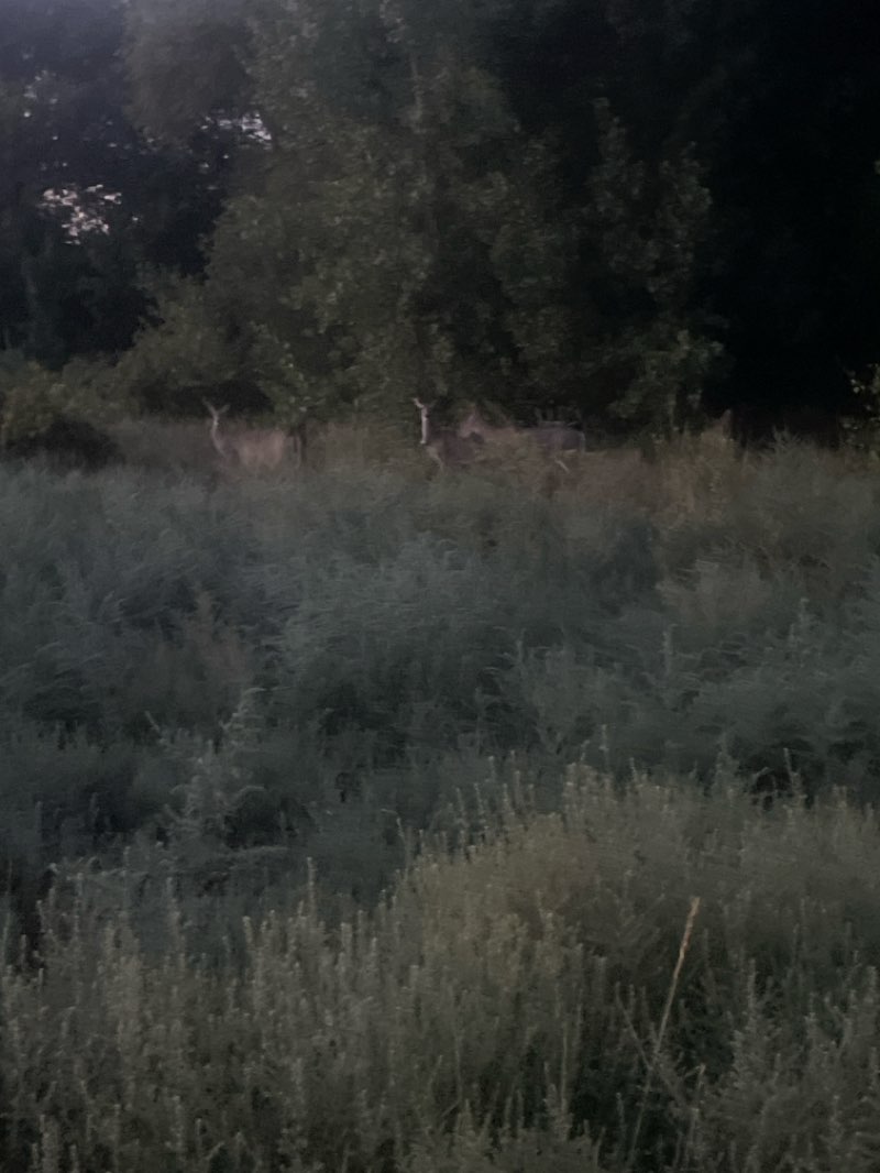 walking near me in Udall Natural Area in autumn