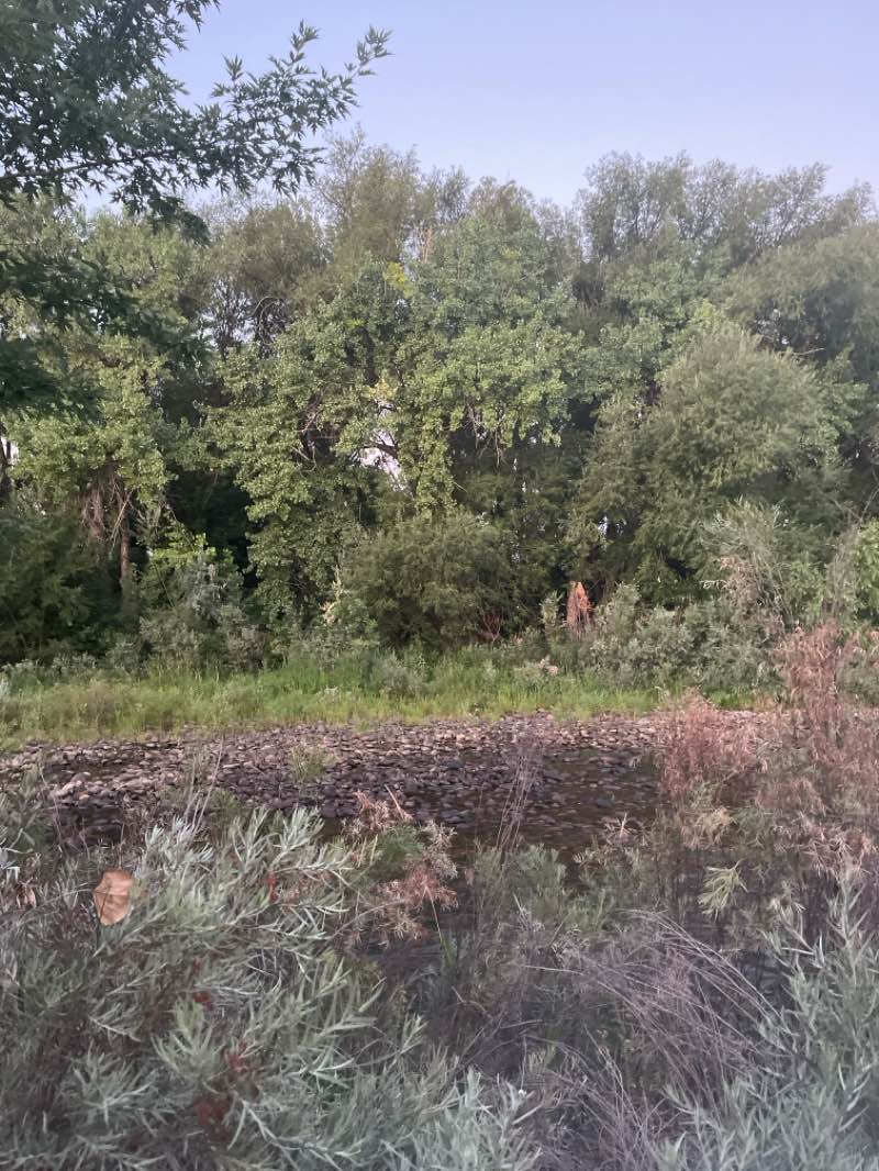 walking near me in Lee Martinez Park in autumn