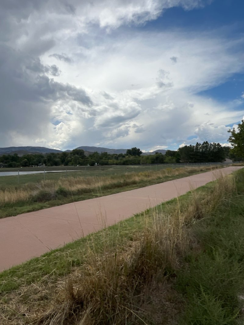 walking near me in Butterfly Woods in autumn