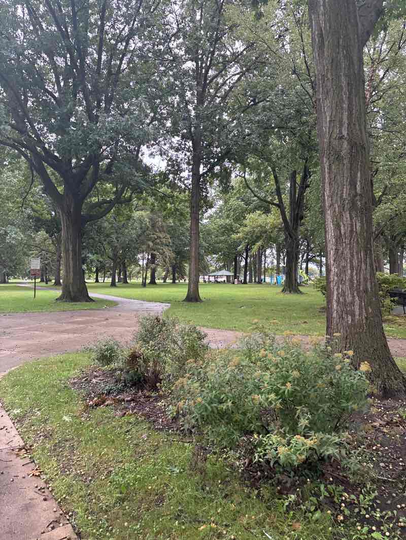 walking near me in Mies Park in autumn