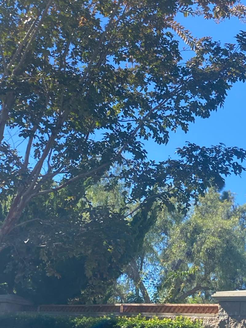 walking near me in Hidden Canyon Community Park in autumn
