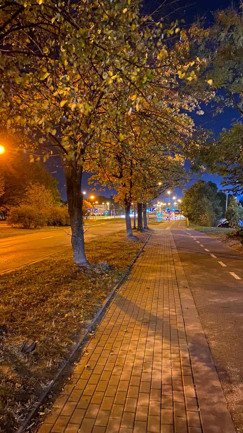walking near me in Park Antoniuk in winter