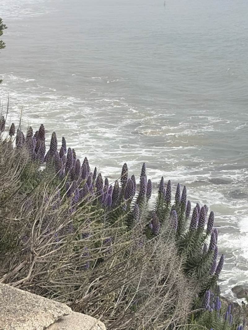 walking near me in Depot Park in spring