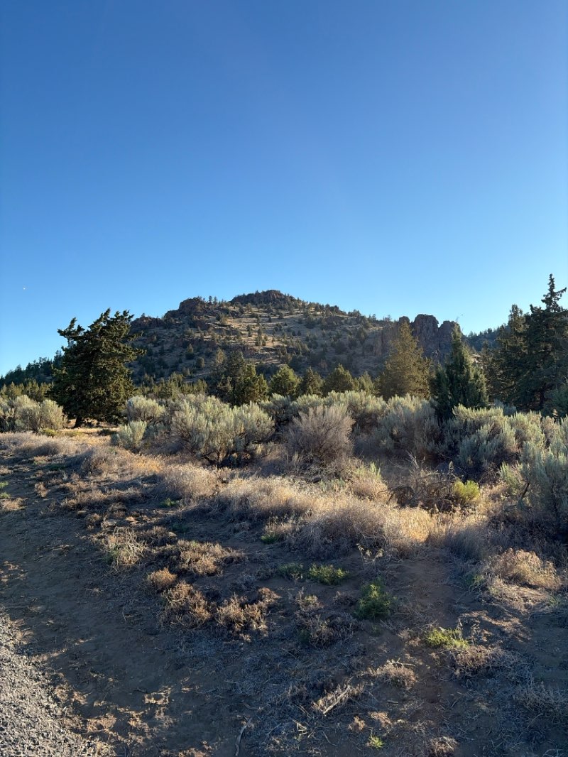 walking near me in Prineville Wetlands in summer