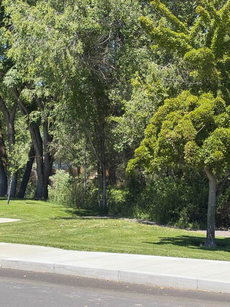 walking near me in Mountain View Park in summer