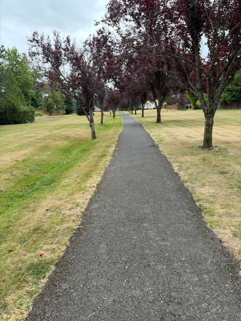 walking near me in Dorothy Fox School Park in summer