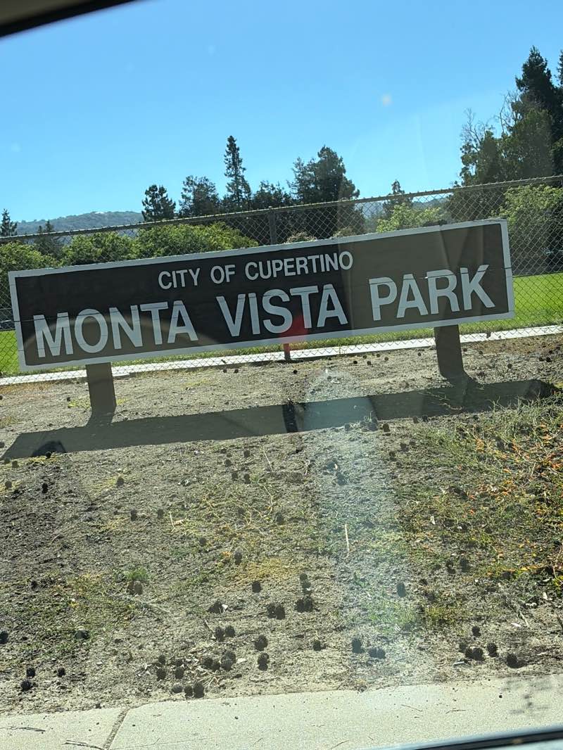 walking near me in Monta Vista Park in summer