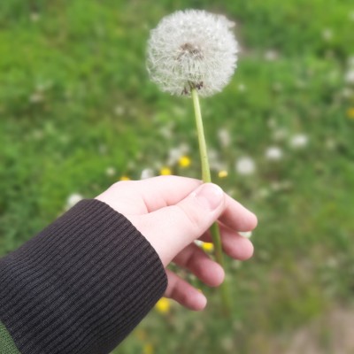 Peshariki Ssserega post image