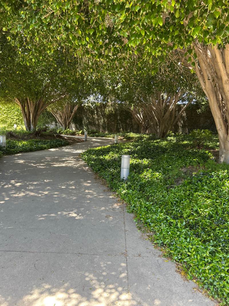 walking near me in Ishihara Park in spring