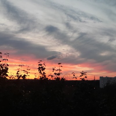 Peshariki Natalia post image