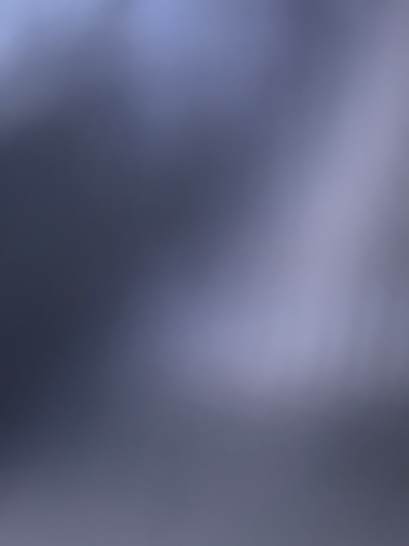 walking near me in Bonair Crescent Stormwater Pond in summer