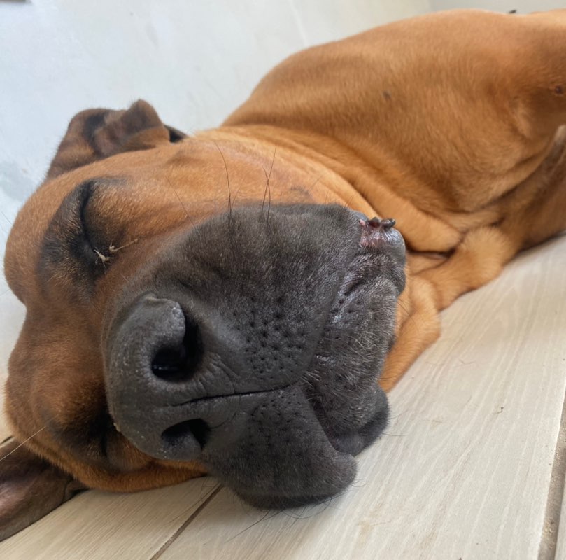 Виктория profile